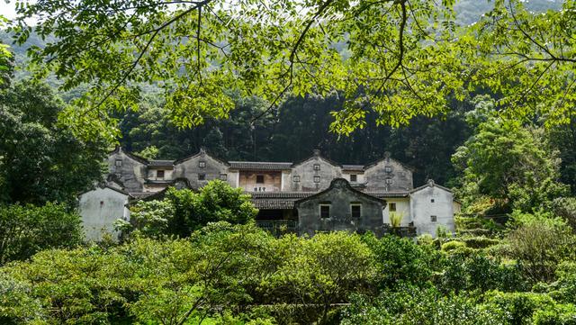 雕桥村人口_人口普查图片