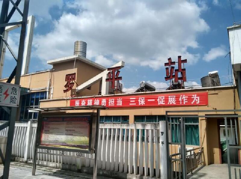 云南罗平金鸡峰丛看秋菊油菜花