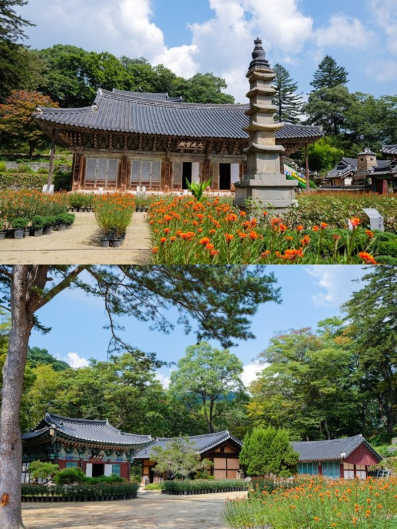 麻古寺是秋天枫叶最美的地方,再过一个月