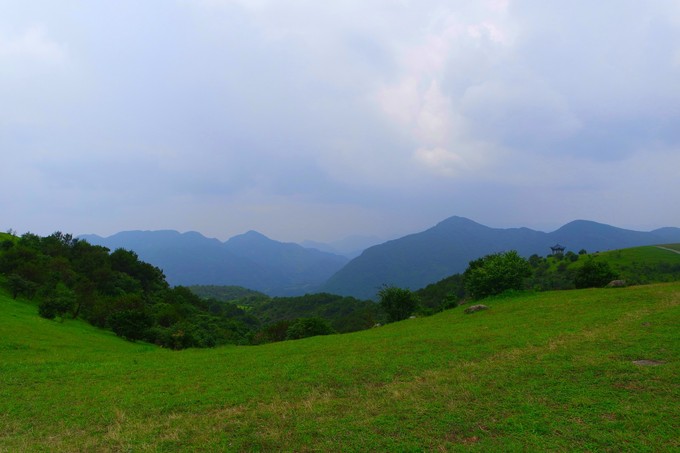 天池草场连城一片