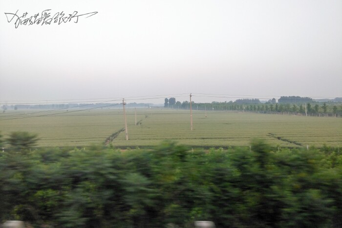 【首发】#520#猫猫走神州 爸爸去哪儿了之亲