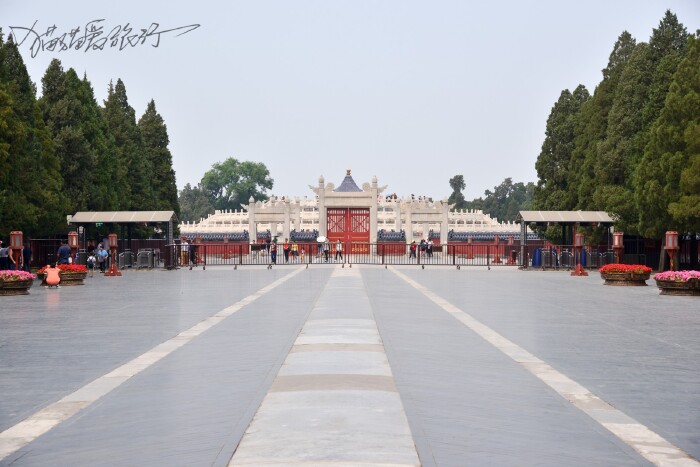 【首发】#520#猫猫走神州 爸爸去哪儿了之亲