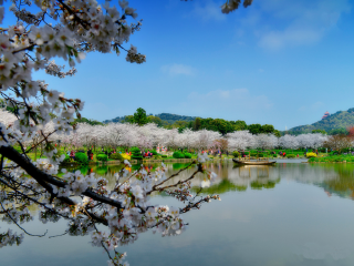 去湖北旅游_到湖北旅游多少錢(qián)_湖北旅游報(bào)團(tuán)價(jià)格