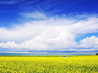 嘉峪關(guān)旅游費(fèi)用多少_去嘉峪關(guān)旅游多少錢_去嘉峪關(guān)旅游怎么走