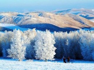 呼伦贝尔旅游6日_出发到呼伦贝尔旅游_呼伦贝尔最适合旅游的季节