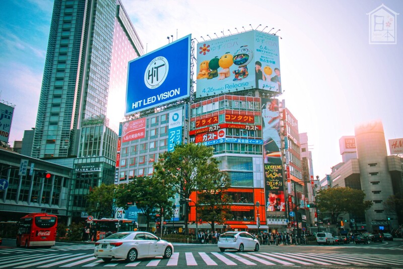 我的悠然假期520读日本匠心之旅京都奈良东京