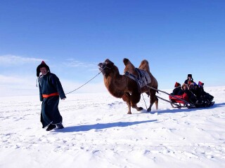 呼伦贝尔旅游6日_出发到呼伦贝尔旅游_呼伦贝尔最适合旅游的季节