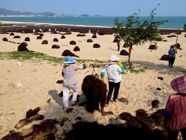 南澳县有多少人口_南澳人应立即开始戴口罩 17人确诊 疫情恐扩散(3)