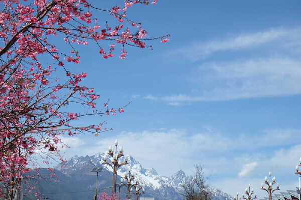 玉龙雪山1月天气怎么样_玉龙雪山1月穿衣指南