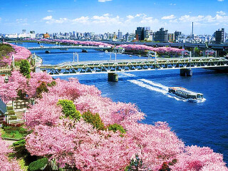 日本10日游旅行团_旅行线路日本_日本5天跟团旅游