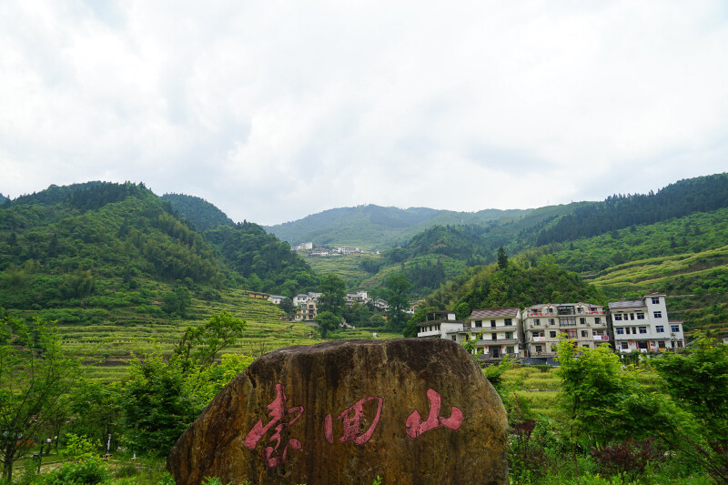 回山人口_人口普查图片