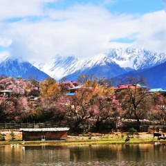 景点模块 