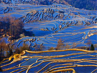 深圳罗平油菜花旅游包团价格_春节期间罗平油菜花自助游_罗平油菜花旅游的多少钱