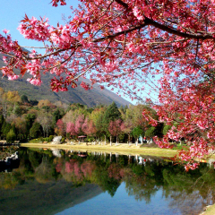景点模块 