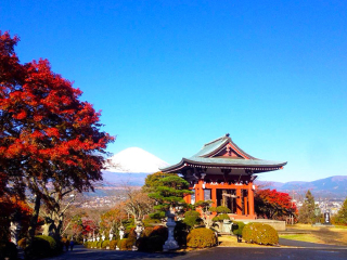 旅行团日本旅游_日本旅游不跟团_去日本7天游