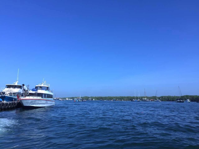 http:\/\/www.tuniu.com\/tour\/210636099