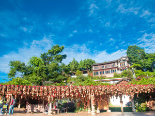 春节到泸沽湖旅游团_泸沽湖旅游需要多少钱_去泸沽湖旅游团多少钱