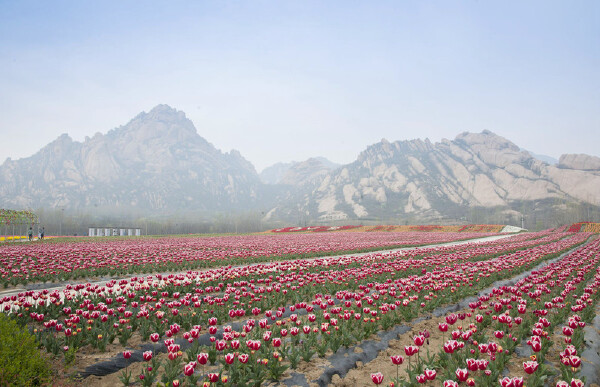 国庆节去驻马店穿衣指南_国庆节去驻马店穿什