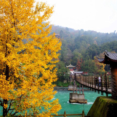 景点模块 