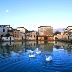 景点模块 