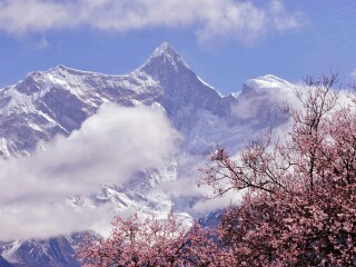 去西藏布達(dá)拉宮旅游多少錢_西藏布達(dá)拉宮旅游多少錢_8月西藏布達(dá)拉宮旅游