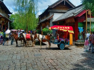 旅游團(tuán)云南西雙版納_到云南西雙版納旅游報團(tuán)價格_云南西雙版納旅行團(tuán)自由行