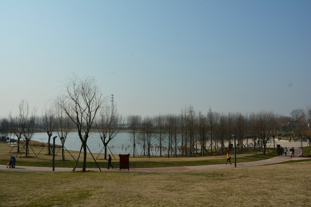 过大年家乡界首小城美景①颍南植物园