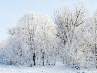 东北雪景