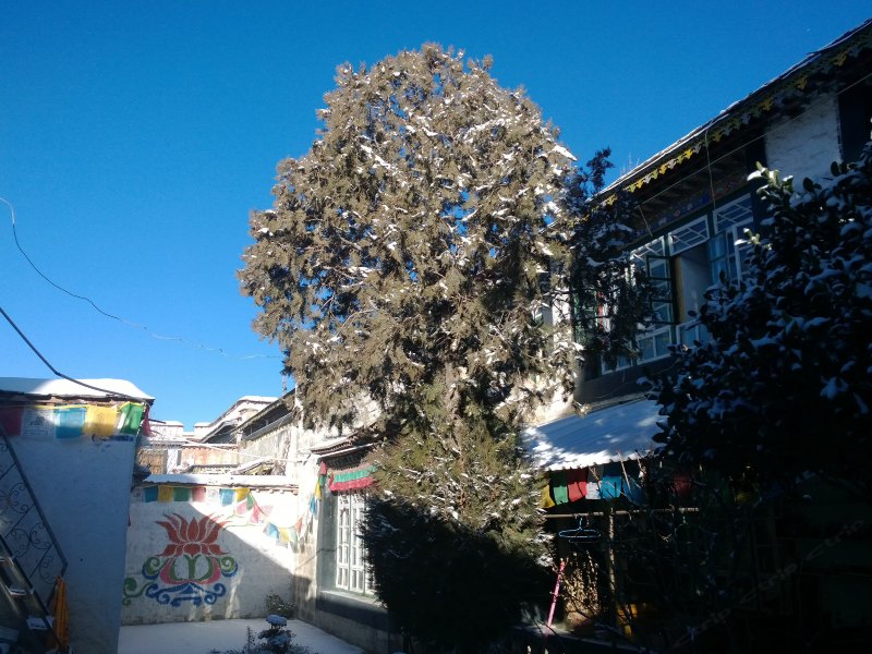 酒店大堂