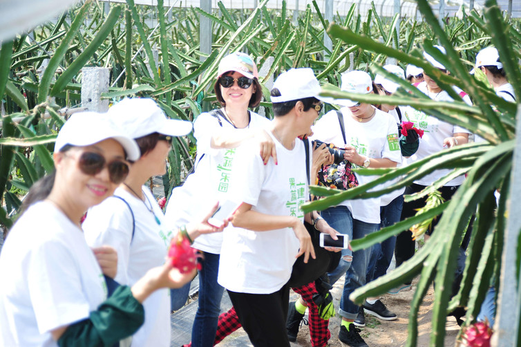 【瑞德火龙果采摘基地门票价格】2018杭州瑞