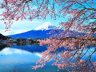 日本6日跟团游_日本旅游的价钱_日本旅游团报价