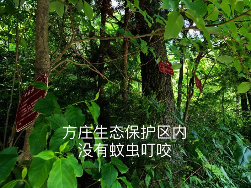 客房