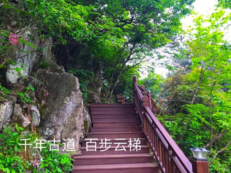 客房