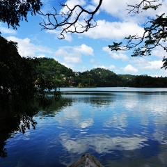 景点模块 