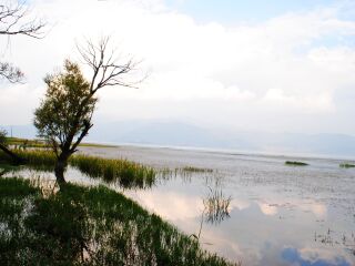 云南麗江旅游組團_云南麗江旅游團
