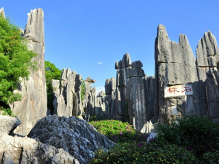 跟团西双版纳旅游报价_西双版纳旅游拍摄_西双版纳新加坡旅游