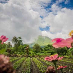 景点模块 