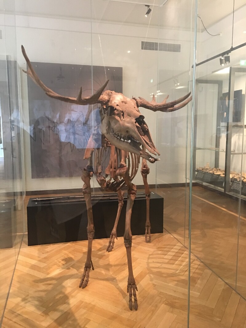 冰岛自驾十日+丹麦两日游,附租车民宿全攻略