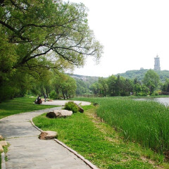 小交通模块 