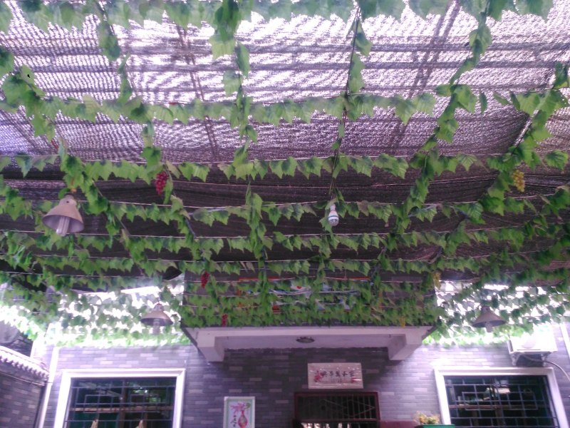 西安高家大院