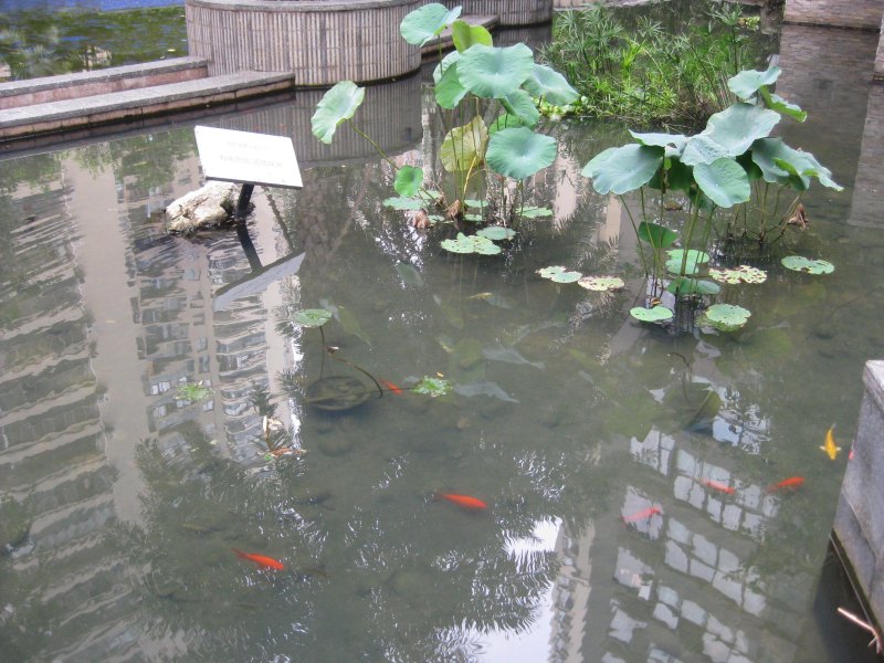 酒店大堂