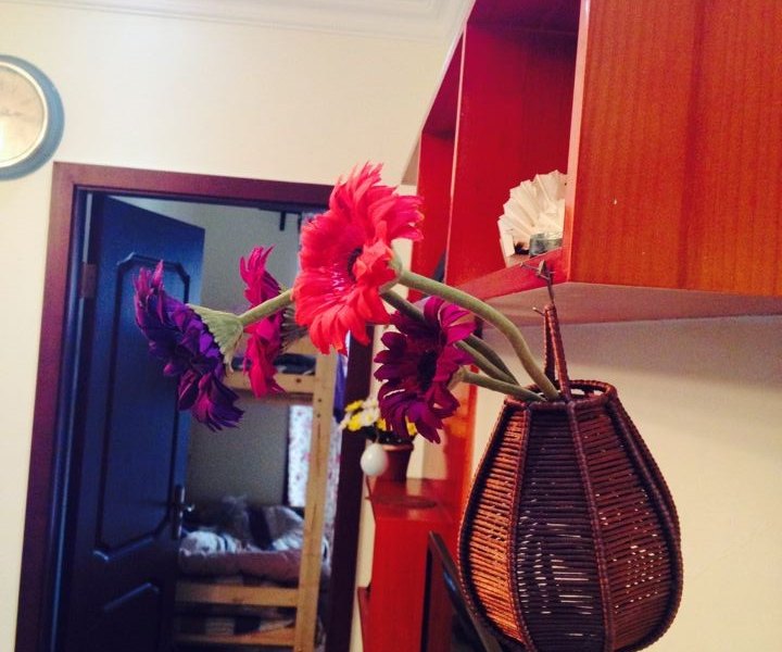 hotelPic