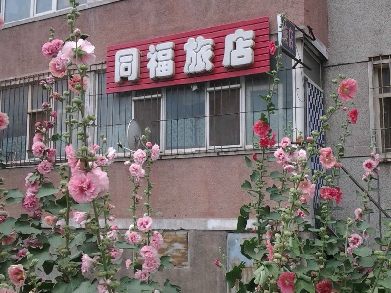 长春同福旅店