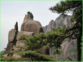 婺源旅游跟團(tuán)需多少錢_婺源旅游大概多少錢_去婺源游怎么省錢