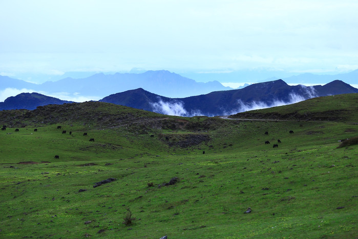 汉源轿顶山