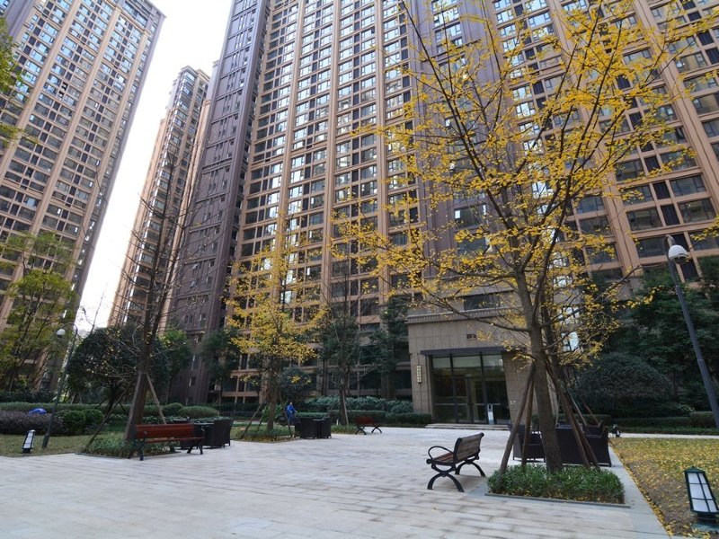 成都睡莲青年旅舍