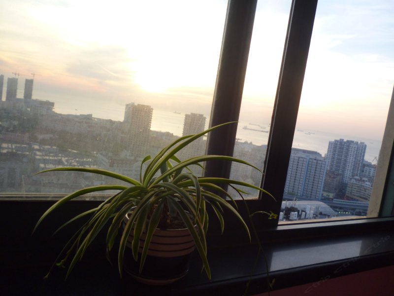 hotelPic