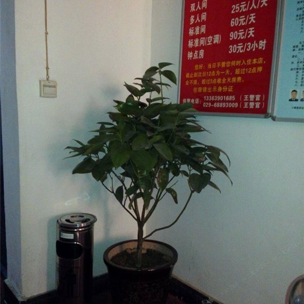 酒店大堂