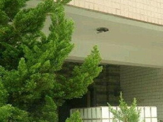 苏州春风住宿