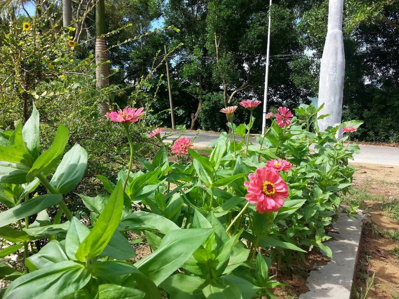 深圳雅逸客栈